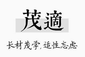 茂适名字的寓意及含义