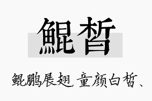 鲲皙名字的寓意及含义