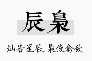 辰枭名字的寓意及含义