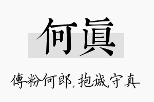 何真名字的寓意及含义