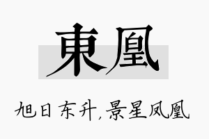 东凰名字的寓意及含义