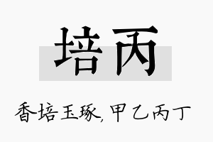 培丙名字的寓意及含义