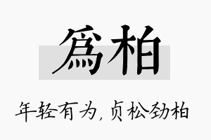 为柏名字的寓意及含义