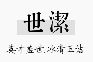 世洁名字的寓意及含义