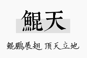 鲲天名字的寓意及含义