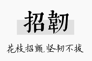 招韧名字的寓意及含义