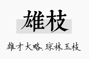 雄枝名字的寓意及含义