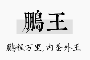 鹏王名字的寓意及含义