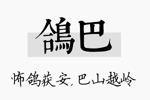 鸽巴名字的寓意及含义