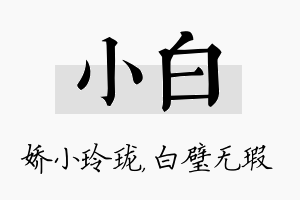 小白名字的寓意及含义