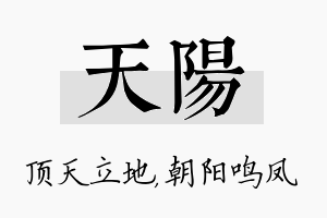 天阳名字的寓意及含义