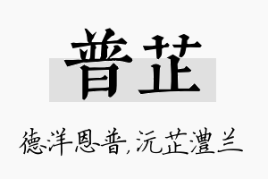 普芷名字的寓意及含义