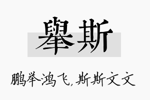 举斯名字的寓意及含义