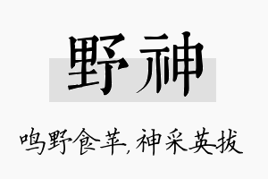 野神名字的寓意及含义