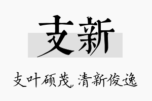 支新名字的寓意及含义