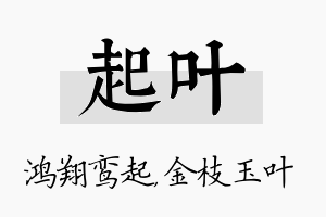 起叶名字的寓意及含义