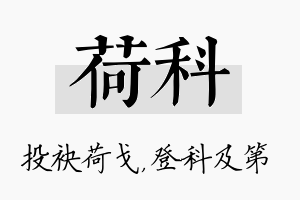 荷科名字的寓意及含义