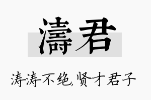 涛君名字的寓意及含义