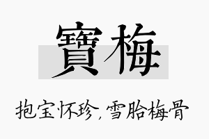 宝梅名字的寓意及含义