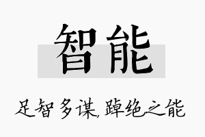 智能名字的寓意及含义