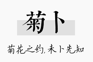 菊卜名字的寓意及含义