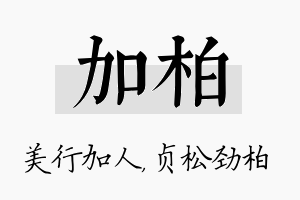 加柏名字的寓意及含义