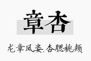 章杏名字的寓意及含义