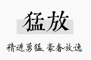 猛放名字的寓意及含义