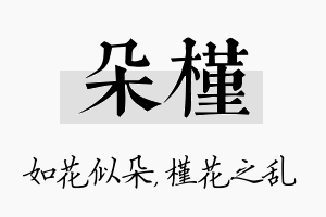 朵槿名字的寓意及含义