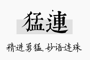 猛连名字的寓意及含义