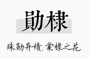 勋棣名字的寓意及含义