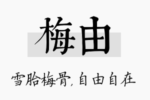 梅由名字的寓意及含义