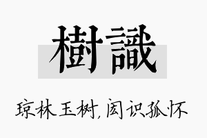 树识名字的寓意及含义