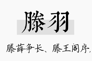 滕羽名字的寓意及含义