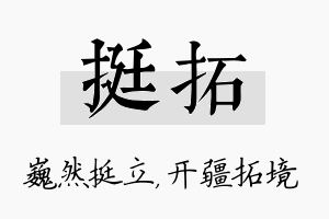 挺拓名字的寓意及含义