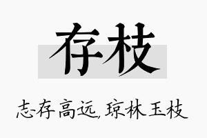 存枝名字的寓意及含义