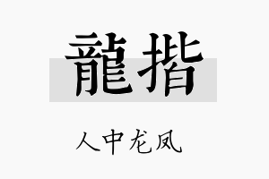 龙揩名字的寓意及含义