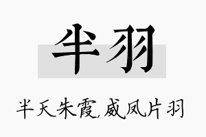 半羽名字的寓意及含义