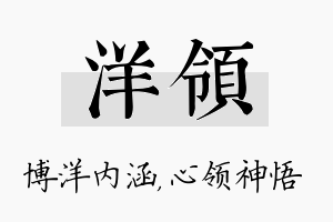 洋领名字的寓意及含义