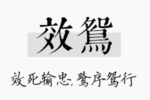 效鸳名字的寓意及含义