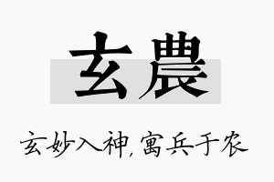 玄农名字的寓意及含义