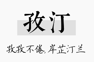 孜汀名字的寓意及含义