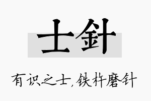 士针名字的寓意及含义