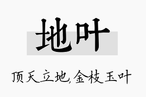 地叶名字的寓意及含义