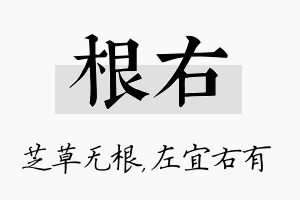 根右名字的寓意及含义