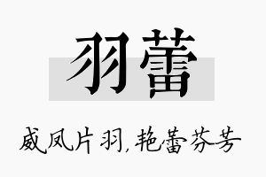 羽蕾名字的寓意及含义