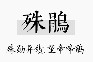 殊鹃名字的寓意及含义