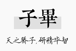 子毕名字的寓意及含义