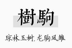 树驹名字的寓意及含义