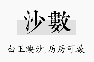 沙数名字的寓意及含义